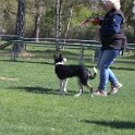 IMG 0896