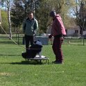 IMG 0909