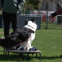 IMG 0913