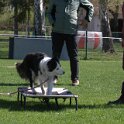 IMG 0919