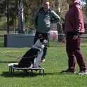IMG 0920