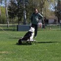 IMG 0933