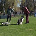 IMG 0935