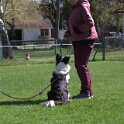 IMG 0936