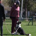 IMG 0941