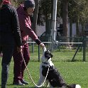 IMG 0942