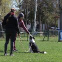 IMG 0943
