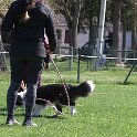IMG 0945