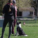 IMG 0948