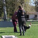 IMG 0949