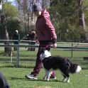 IMG 0952