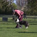 IMG 0953