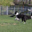 IMG 0962