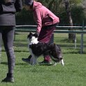 IMG 0968