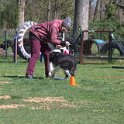 IMG 0979