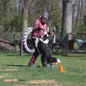 IMG 0982