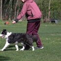 IMG 0984