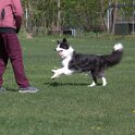 IMG 0987