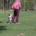 IMG 0989