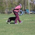 IMG 0993