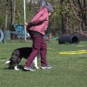 IMG 0994