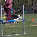 IMG 0999