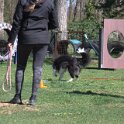IMG 1004