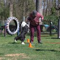 IMG 1016