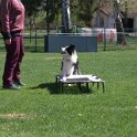 IMG 1023