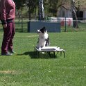 IMG 1024