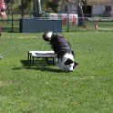 IMG 1026