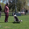 IMG 1029