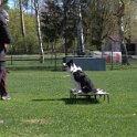 IMG 1034