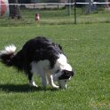 IMG 1041