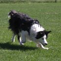 IMG 1043