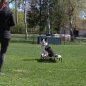 IMG 1049