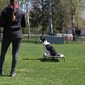 IMG 1050