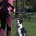 IMG 1064