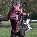 IMG 1066