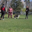 IMG 1084