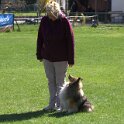 IMG 1104