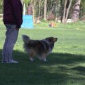 IMG 1127