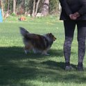 IMG 1128