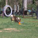 IMG 1136