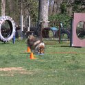 IMG 1137