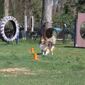 IMG 1138