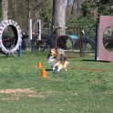 IMG 1139