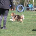 IMG 1142