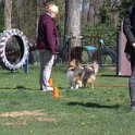 IMG 1145