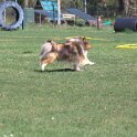 IMG 1152